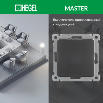 MASTER Выключатель одноклавишный скрытой установки, в рамку, черный